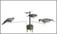 Triple Play - Motion Doves